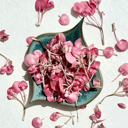 Edible Flowers - Freeze Dried Pink Apple Blossom Flower Heads - 200ml - Certified Food Grade (460)