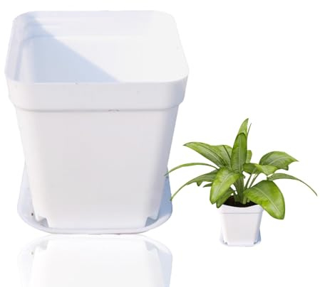 Yistoi 30 Pezzi Vasi Plastica, Vasi Bianchi da Esterno, Vasi in Plastica, Fioriere da Interno per Piante Grasse, Piantine, semi, Piante in vaso, Decorazioni per Casa e Giardino e Altro Ancora