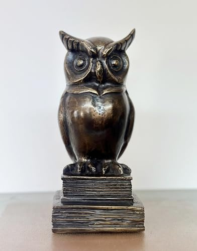 STEINFIGURENWELT GIEBEN Bronzefigur Eule auf Büchern sitzend 22cm Dekoration aus Bronze Skulptur Tier Figur Deko Geschenk Bronzestatue Kauz Uhu Wetterfest