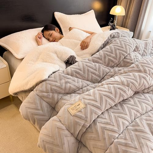 Rusopobe Schwere Winter Sherpa Steppdecken in Kingsize Größe, Superwarme Lammwolldecke Dicke doppelseitige Flauschige Lammvlies Bettdecke Winter Steppdecke(D,150x200cm/3.5kg)