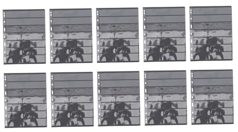 FUNNETOYU 10Pezzi Album per Francobolli Collezione Pagine Raccoglitore Premium per Monete e Timbrature Design e Protettivo per Collezionisti e Appassionati