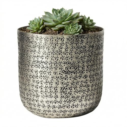 Dibor Metal Indoor Plant Pot Cachepot Planter (Medium) | Contemporary Stamped Finish, Galvanised, For Herbs, Succulents, Cacti and Flowers, Modern Mantelpiece Windowsill Shelf Decor
