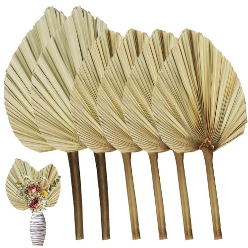 RUENXG Hojas de palma secas, 6 hojas de palma secas naturalmente para decoración, ramo de lanzas de palma secas bohemias para boda, hogar, cocina, jarrón, arreglos de mesa, decoración de aniversario