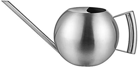 Lsimeru Klein Gießkanne Zimmerpflanzen Metall 1l Silber Edelstahl Giesskanne Garten Topfpflanzen Blumengießkanne Hängepflanzen Büro Innen Zimmer