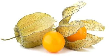 Sachet de graines de Coqueret du Perou (Physalis peruviana) - 0,5 g - LES GRAINES BOCQUET