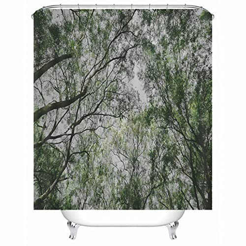 Hoisy Duschvorhang Anti Schimmel, Duschvorhang Muster Waldbäume Grün Größe 180X200CM Schnell Trocknend Polyestergewebe Badezimmerzubehör