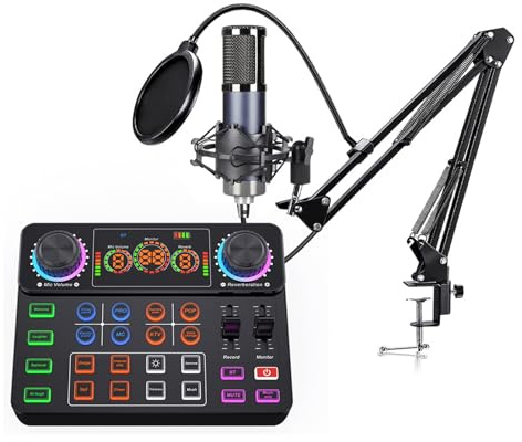 FANSHINUO Microfono a condensatore portatile di tipo C e scheda audio che offrono in tempo reale facile da usare per streaming live riunioni online dispositivo di trasmissione