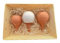 Coffret Cadeau 3 Ollas à Planter en Terre Cuite – Arrosage Autonome Écologique pour Plantes en Pot – Idée Cadeau Jardinage Originale - Fabrication française