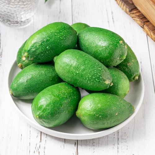 100 pcs Zitronenbaum samen, pflanztöpfe，säulenobstbäume deko garten，pflanzen winterhart draußen，einfach zu Pflanzen pflanzensamen，pflanzen für draußen samen anzucht，bäume garten winterhart