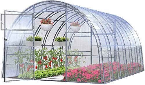 Greenhouse Ruby Lux 3x8 Mètres Serre de Jardin 24m² avec Polycarbonate 4mm Cadre Robuste de Acier Galvanisé Modèles et Tailles Diverses