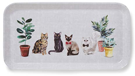 Cooksmart Petit Plateau de Service conçu au Royaume-Uni | Plateau à dîner pour de Multiples utilisations dans la Maison | Plateaux pour Servir de la Nourriture ou des Boissons - Chats Curieux
