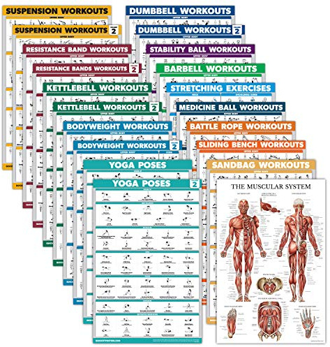 Palatsinlärning 20-pack – träningsaffisch-set: Hantel, upphängning, stridsrep, stretching, kroppsvikt, skivstång, yoga, träningsboll, muskel, kettlebell, motståndsband (laminerad, 45 x 68 cm)