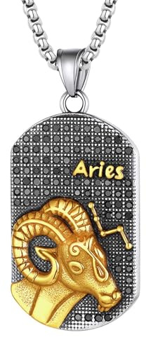 JewelryWe Sternzeichen Kette Herren Erkennungsmarke: Edelstahl 12 Sternbilder Tierkreis Horoskop Dog Tag Hundemarke Anhänger mit Gravur Konstellation Halskette für Männer Gold Silber