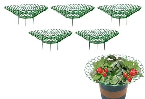 Erdbeerstützen Ständer 5 Stück Erdbeerregal Erdbeeren Reifer Unterstützung Wiederverwendbarer Erdbeerranke Pflanzenstütze Schneckenschutz Fruchtreifer Pflanzenschutz - Schutz Vor Fäulnis
