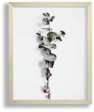 VO design Finn Premium Bilderrahmen Posterrahmen 30x90 cm Farbe Champagner 90x30 cm mit weisser Rückwand und Antireflex Acrylglas