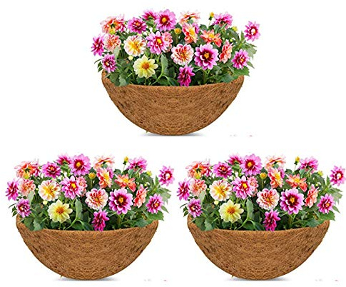 Anjinguang 3 Stück 30,5 cm Hängekorb Kokosfaser-Einlagen Ersatz natürliche runde Kokosnuss-Kokosfaser Pflanzkorb Liner für Blumenampel/Gemüse