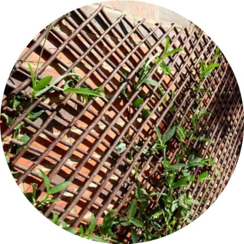 Willow Garden Trellis - Expandable Plant Support for Climbing and Long-Stemmed Plants (120x180cm)
