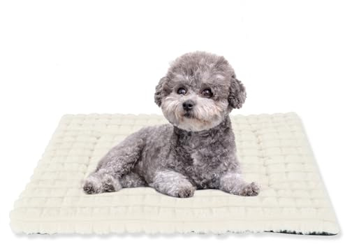 BVAGSS Flauschiges Orthopädisches Hundebett, Waschbar Hundematte, rutschfeste Unterseite, Plüsch Hundekissen Weiche und Warme Hundematte für klein mittel große Hunde XH082 (60x45cm,Weiß)