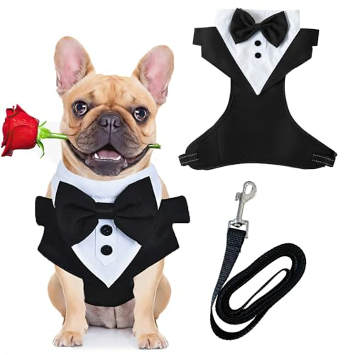 Harnais Smoking avec Laisse pour Chien, Gilet Formel avec Nœud de Cérémonie pour Chien, Costume de Déguisement avec Nœud pour Les Mariages, Les Fêtes de Noël, Les Fiançailles, Les Anniversaires