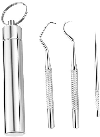 IRYNA 1Pcs Toothpick Holder with 304 Stainless Steel Toothpicks Set Reusable Titanium Toothpick Waterproof Metal Pill Box with Key Chain Travel Toothpick In Case for Outdoor Activities and Travel