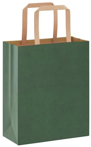 vidaXL Papiertragetaschen 250 Stk., Papiertüten mit Henkeln, Papiertüten, Geschenktüten für Einkaufen Hochzeiten Verpackungen Partys Geburtstag Weihnachten, Grün 18x8x22cm