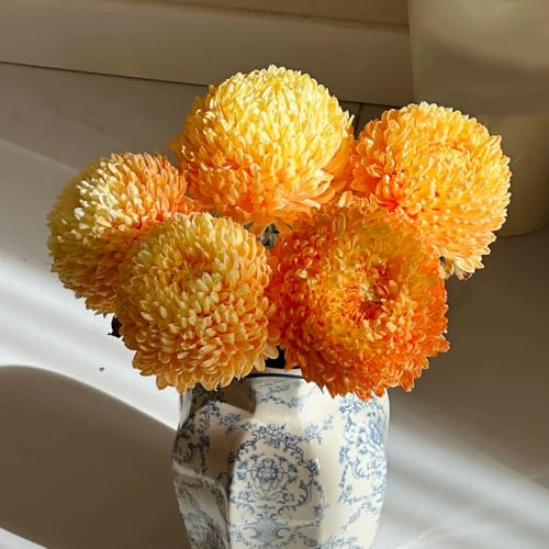 semillas de crisantemo - cortadas resistentes interior jardín balcón trepadoras jardín rocas raro decoración la sala estar 100pcs