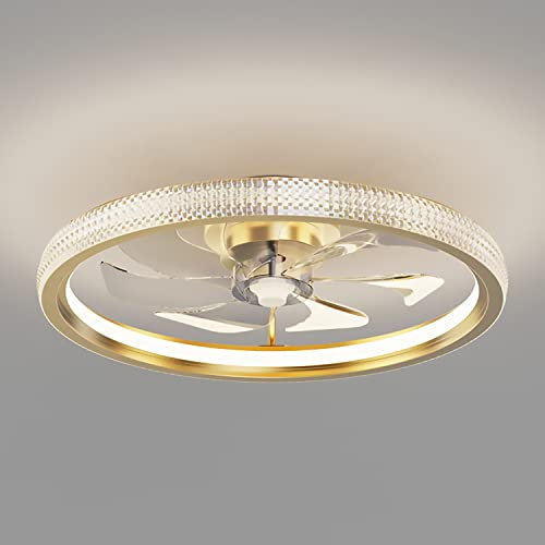Ceiling Fans with Lights,Ceiling Fan with Lights Control,20'' Bladeless Ceiling Light Remote Control 3 Color 3 Speeds Semi Flush Mount Low Profile Timing 30/48W (50cm-48W, Section E)