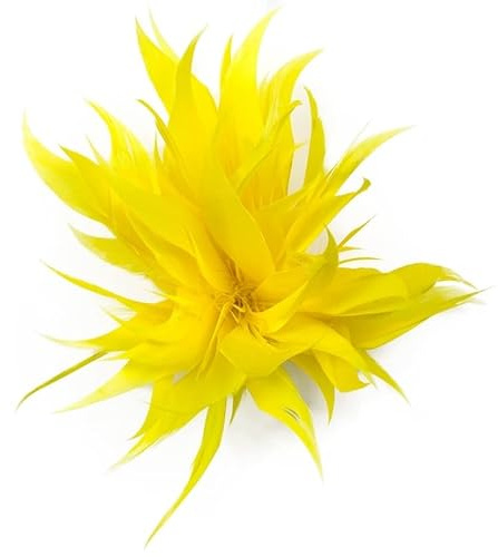 PTNKUIIY Damen Federbrosche,Flauschige Feder Brosche Straußenfeder Brosche Braut Hochzeit Kopfschmuck Kostüm Deko Federn Haarschmuck Haarklammer Brosche für Frauen Mädchen Halloween Party Dekoration