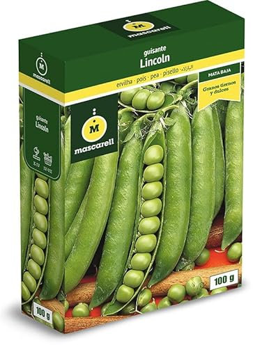 Mascarell Semillas, GUISANTE LINCOLN, Semillas Leguminosas, Fácil de Cultivar en Casa, 100 G.