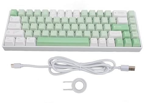 Denash Tastiera da Gioco per PC, Tastiera Meccanica Wireless a 68 Tasti, Tastiera Bluetooth con Interruttore Blu, Tastiera PC Verde Retroilluminata RGB per Computer Portatile