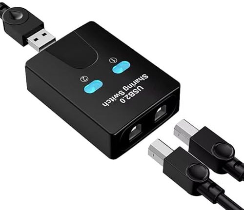 Hub Condivisione Stampante USB 2.0 | Hub Splitter KVM USB | Switch di Connessione USB 2 Ingressi 1 Uscita | Per Tastiera, Mouse, Stampante, Lettore di Schede
