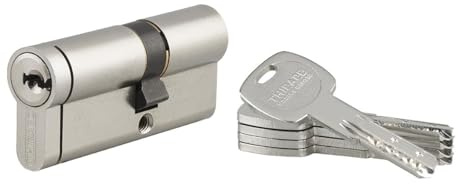 THIRARD - Cilindro di Serratura Doppia Entrata Transit 2 - Ottone - Uso Interno ed Esterno - 8 Perni - Anti-Strappo, Anti-Trapano, Anti-Scasso, Anti-Snap - 30 x 40 mm - Grigio