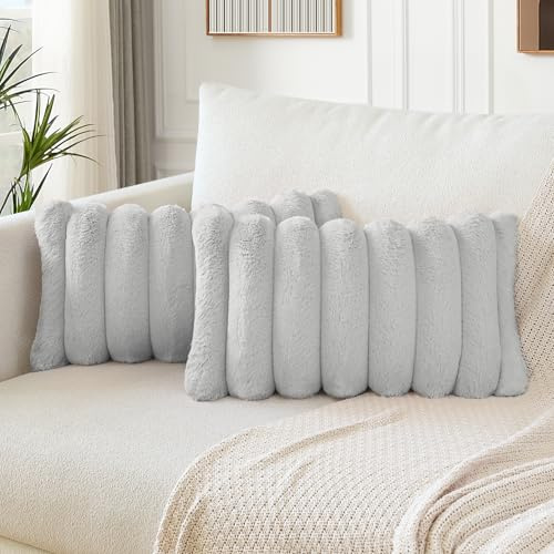 Soleebee 2er Set Plüsch Samt Kissenbezüge, Weiche Künstliche Pelz Kissenbezug Sofa Zierkissenbezüge Dekokissen Kissenhülle Set für Schlafzimmer Zuhause Couch Auto Dekor (30x50cm, Hellgrau)