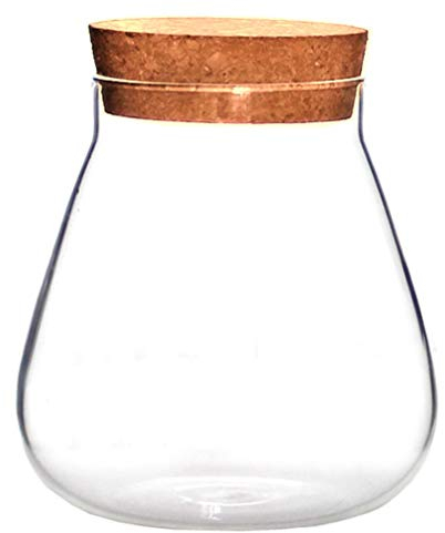 Housoutil Terrarium Glass Vase Bubble Bowl Plant Bowl Glass Bottle Ornaments for Diy Micro Landscape Plant