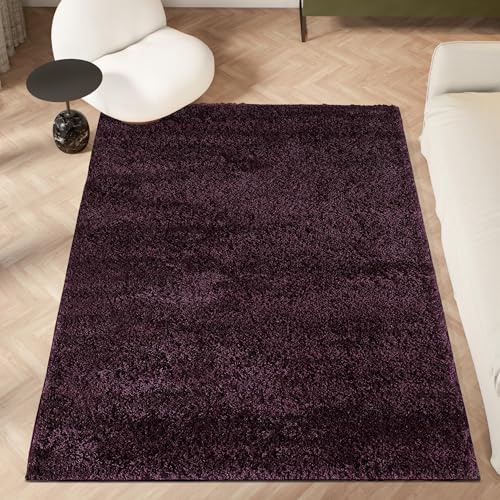 homeart Area Rug - Super Soft Shaggy Rugs For The Living Rooms, Bedrooms And Kitchen - Modern, Easy To Clean Carpet - 80x150 cm, Lavender Purple