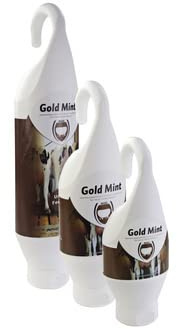 Excellent Gesundheit Pflege Zubehör Gold Minze Anhänger Rohr