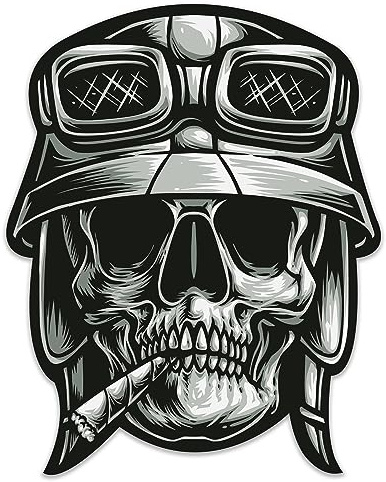 Biomar Labs Auto Sticker Vinyl Aufkleber Wasserfest für Auto Motorrad Laptop und Helm – Laminierte Dekorative Sticker für Fenster Trinkflasche und Zubehör