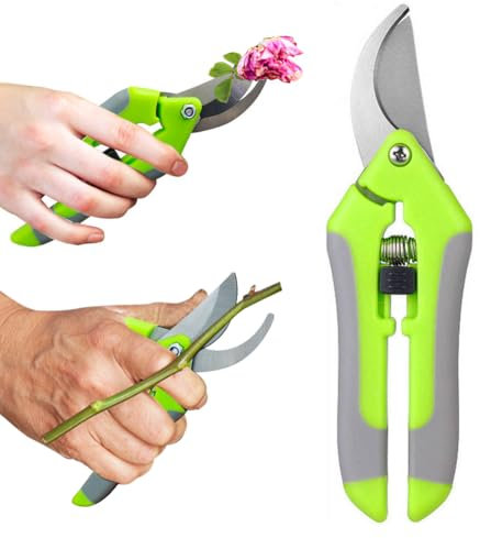 MIETONG Grün Gartenschere Ernteschere Blumenschere Stahl Klingen Rosenschere Feststellgriff Pflanzenschere Trimming Astschere Schere Baumschere Shears für Bonsai Pflanzen Blumen Ernte Obst Gemüse