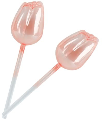 Automatischer Pflanzenbewässerer – Rosa Tulpen-Set, 2 Stück selbstbewässernde Kugelblumen | Klarglas-Bewässerungssystem mit Spikes, Glas-Bewässerungskugeln, Blumentopfeinsatz mit Spikes für Zimmer- un