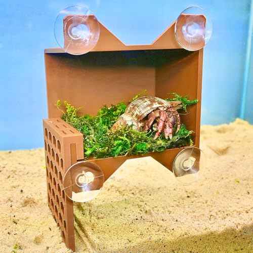 Hermit Crab Climbing Wall Foraging Cave | Hermit Crab Ladder Viewing Moist Hide Tank Enrichment Decor | Hideaway Decoration Accessories Supplies Toys Ornaments