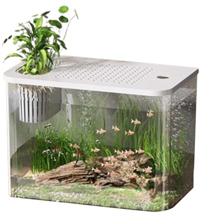 Dtaigou Acquario per pesci, acquario Betta | Acquario per tartarughe da tavolo trasparente per pesci - Piccoli acquari, vasche compatte, decorazioni paesaggistiche per piccoli pesci, allevamento di