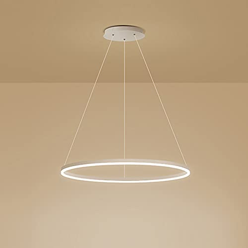 ZXSRGDHX Anneau Unique LED Suspension Nordique Moderne Cercle Lustre Réglable Lampes Suspendues pour Salon Îlot De Cuisine Table À Manger(40cm, 25W,White, Trichromatic)