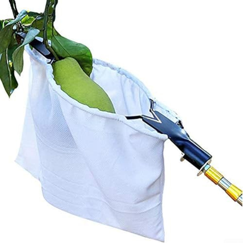 Raccoglitore telescopico per frutta, palo estensibile in acciaio con manico ergonomico, per raccogliere frutta ad alto ramo in giardini e frutteti (testa raccoglitrice)
