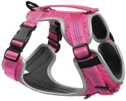 Embark Pets Embark Sports Hundegeschirr, kein Ziehen, vorne führendes Hundegeschirr – einfaches An- und Ausziehen, atmungsaktives Hundegeschirr mit Kontrollgriff – größenverstellbar und nicht verschlu