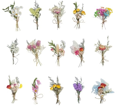 Mengger 15 Mazzi di Fiori Secchi Naturali Decorativi Fiori Pressati Secchi Naturali Fiori Secchi per il fai da te per Arte Artigianale Candela Scrapbooking Stile Casuale