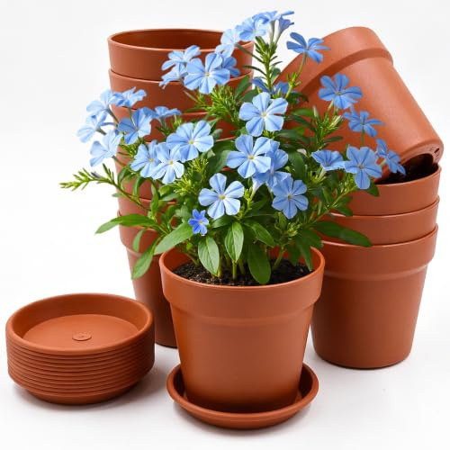 AMJKEJI Lot de 12 pots de fleurs avec soucoupe - En plastique - 10 cm - Avec plusieurs trous de drainage - Pour intérieur, balcon, jardin, plantes, cactus, plantes succulentes, terre cuite