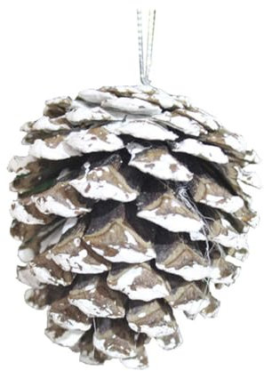 TOPBATHY 30 Stück Weiße Getrocknete Kiefernzapfen als Weihnachtsbaum Anhänger Natürliche Deko mit Mattierter Oberfläche Geeignet für Girlanden und Tischvase Füllung