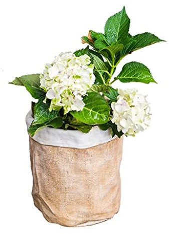 Große Pflanztöpfe aus Beton, Leinenimitat, für Outdoor-Pflanzen, einzigartige Blumentöpfe für Gartendekoration, 24 x 21 x 29 cm