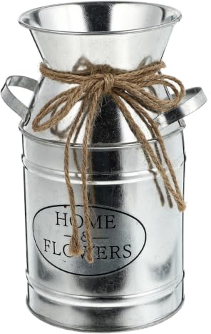 TOYANDONA Pot de Fleurs Rétro en Fer Argenté, Vase Décoratif Forme de Pot à Lait à Deux Anses, Facile à Retirer, pour Salon et Décoration Intérieure
