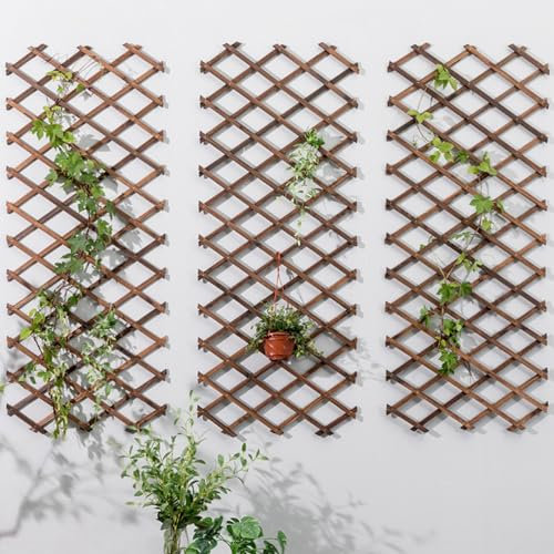 3er-Pack Holzgitter-Wandpflanzgefäße,Erweiterbarer Pflanzenaufstiegs-Hängerahmen-Gitter-Pflanzenstützzaun,Wanddekoration Blumentöpfe Gitterzaunpaneel Vertikales Pflanzenregal Zimmer Terrasse Garten